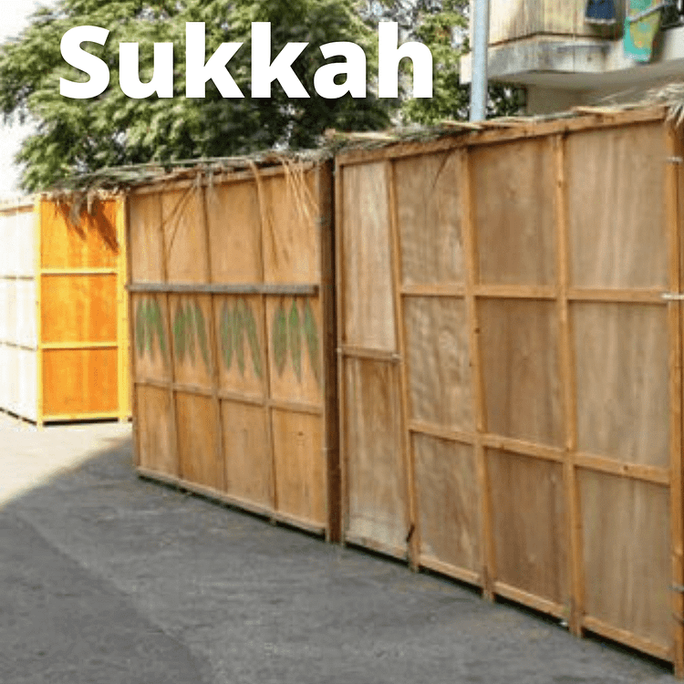 Talmud - Sukkah