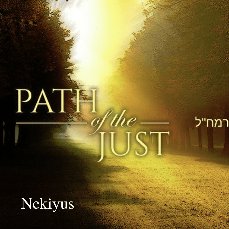 Mesilas Yesharim - Nekiyus